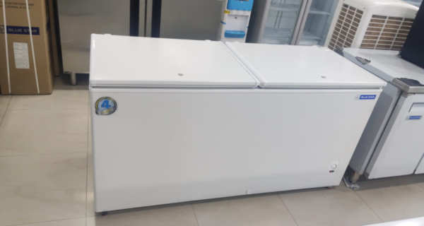 400 ltr blue star deep freezer